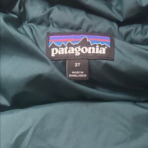 Patagonia Teal Hooded Puffer Jacket